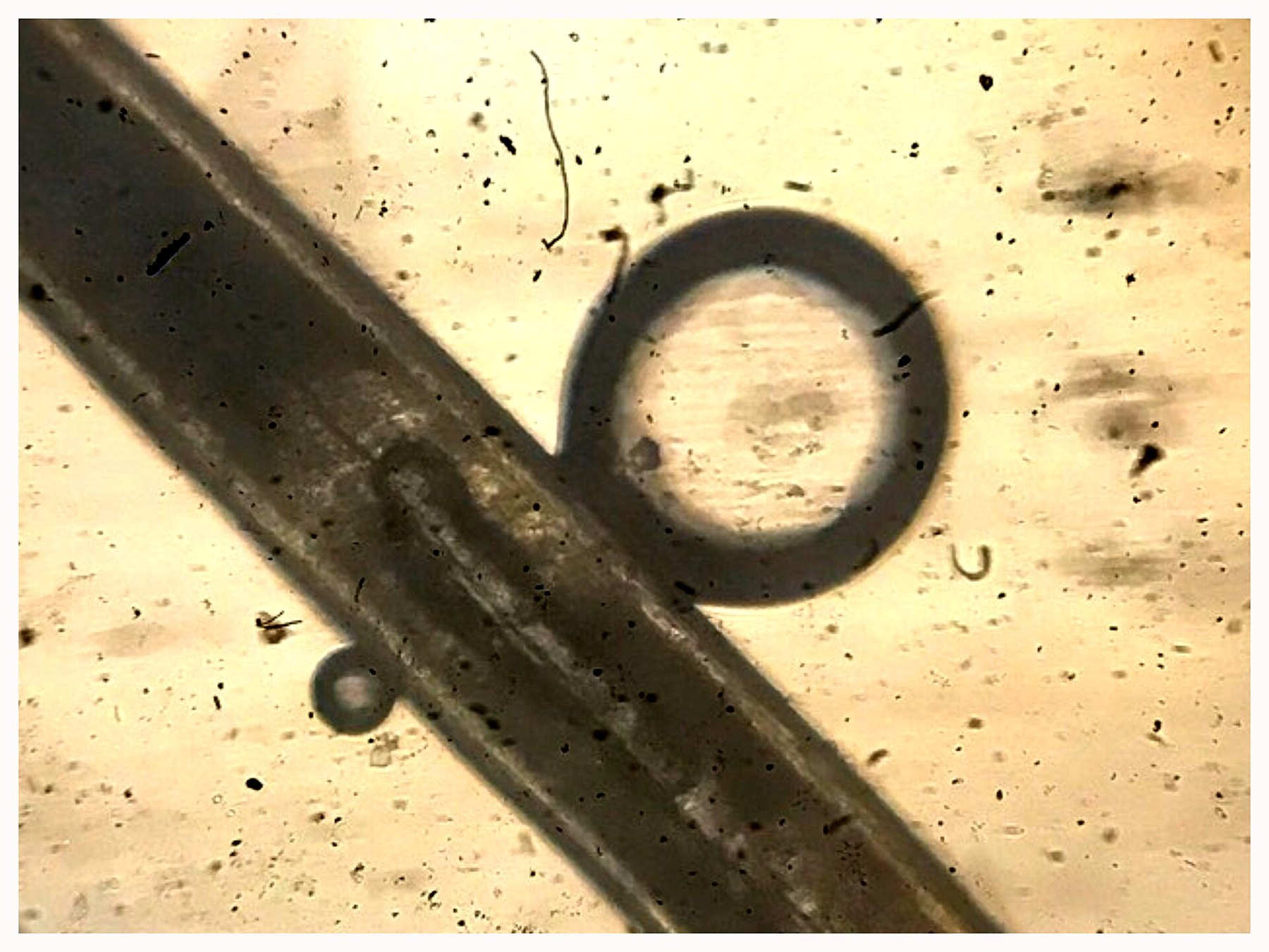 What broken hair actually proves about repair